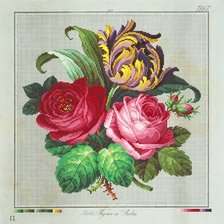 Схема вышивки «роза и хризантема»