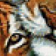 Предпросмотр схемы вышивки «тигры» (№1189577)