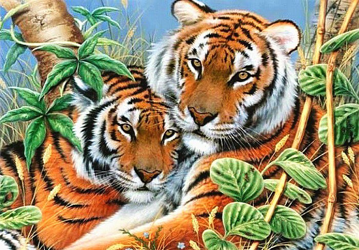 тигры - тигры, животные - оригинал