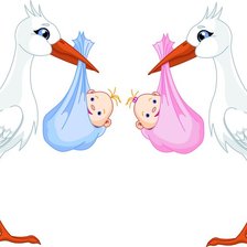 Оригинал схемы вышивки «аист» (№1189777)