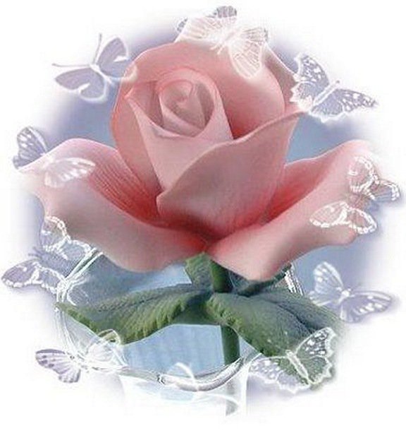 роза нежность - цветы - оригинал