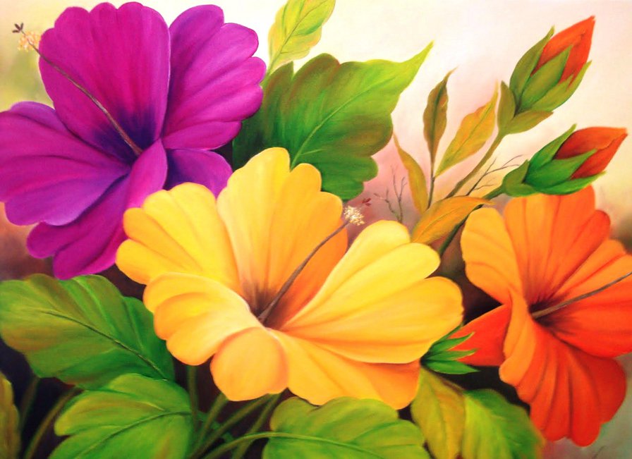 Гибискус - роза, цветок, цветы, букет - оригинал