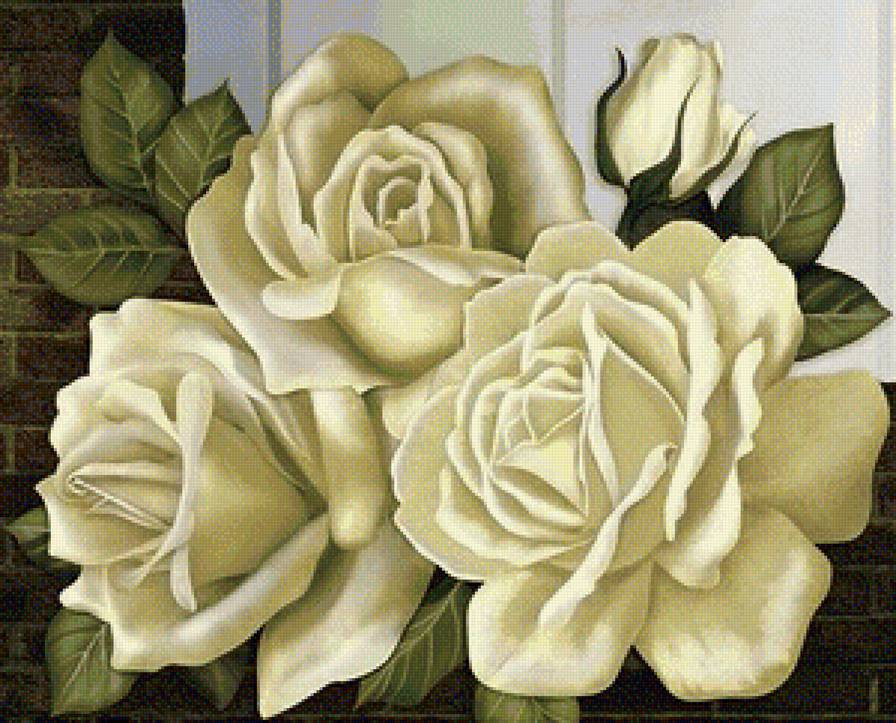 розы - цветы - предпросмотр