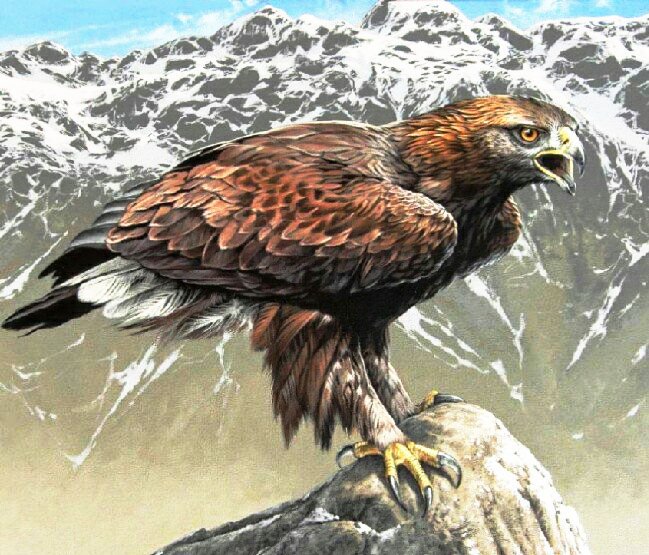 орел-беркут 2 - природа, птицы, горы - оригинал