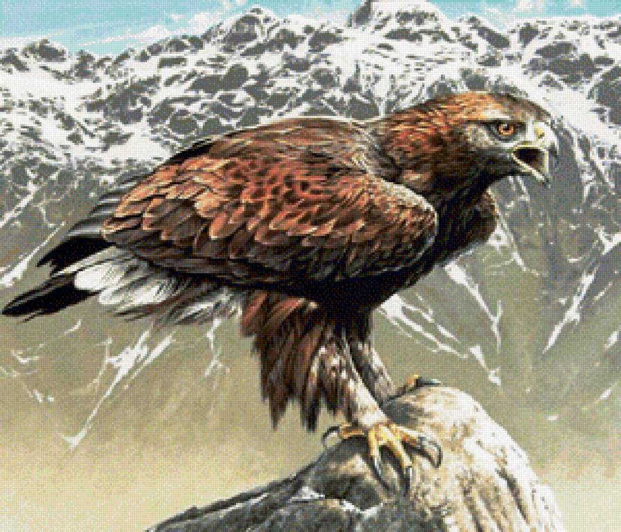 орел-беркут 2 - горы, природа, птицы - предпросмотр