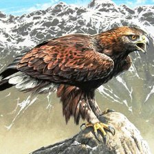 Схема вышивки «орел-беркут 2»