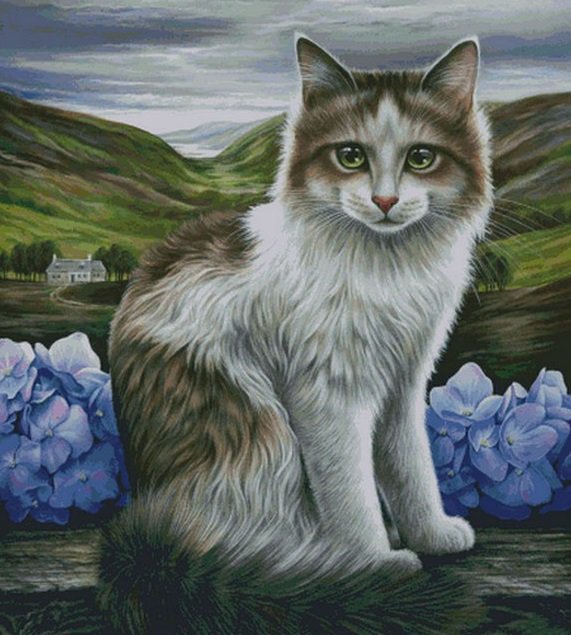 Котик - коты, кот, животные, пейзаж, природа, цветы - оригинал