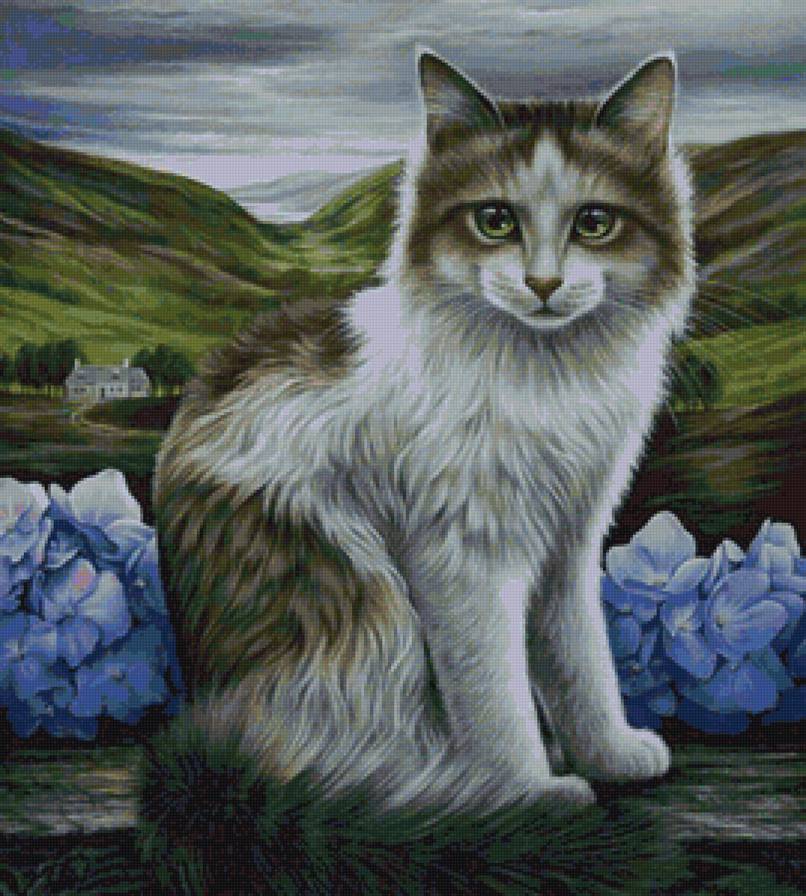 Котик - природа, пейзаж, животные, кот, цветы, коты - предпросмотр