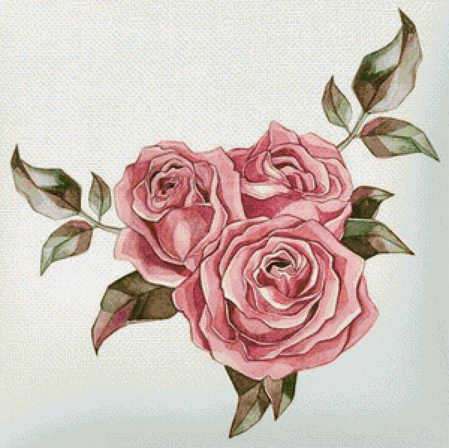 Розы - розы, цветы - предпросмотр