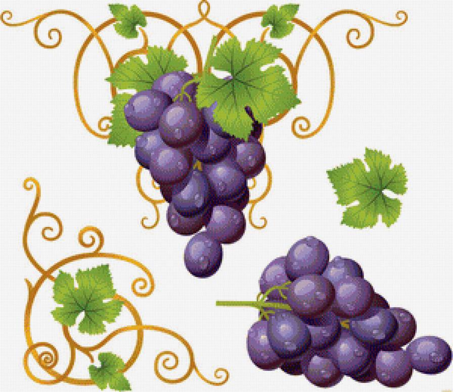 виноград - фрукты, виноград - предпросмотр