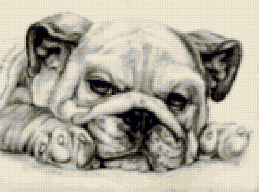 Патя 2 - предпросмотр