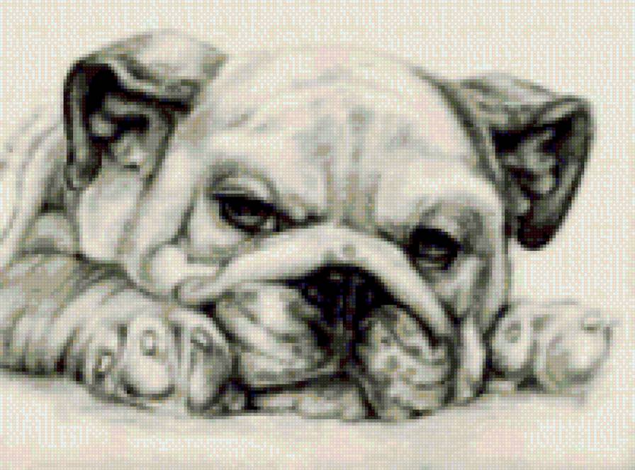 Патя модера - предпросмотр