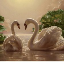 Схема вышивки «лебеди»