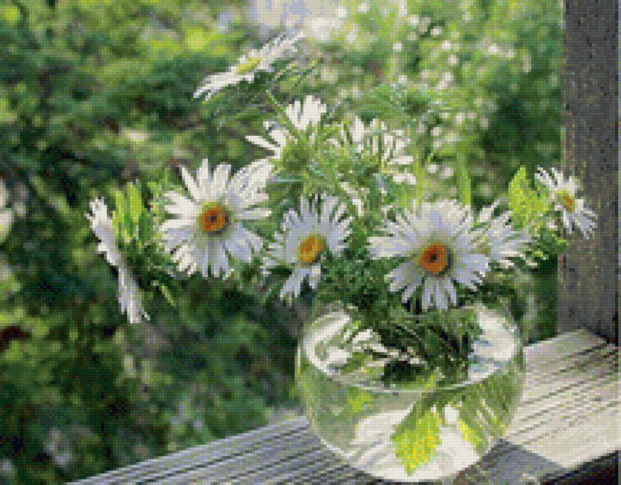 ромашки - предпросмотр