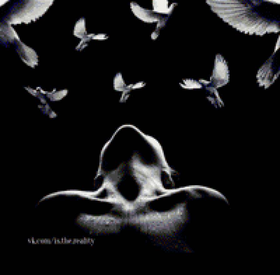 ночь - предпросмотр