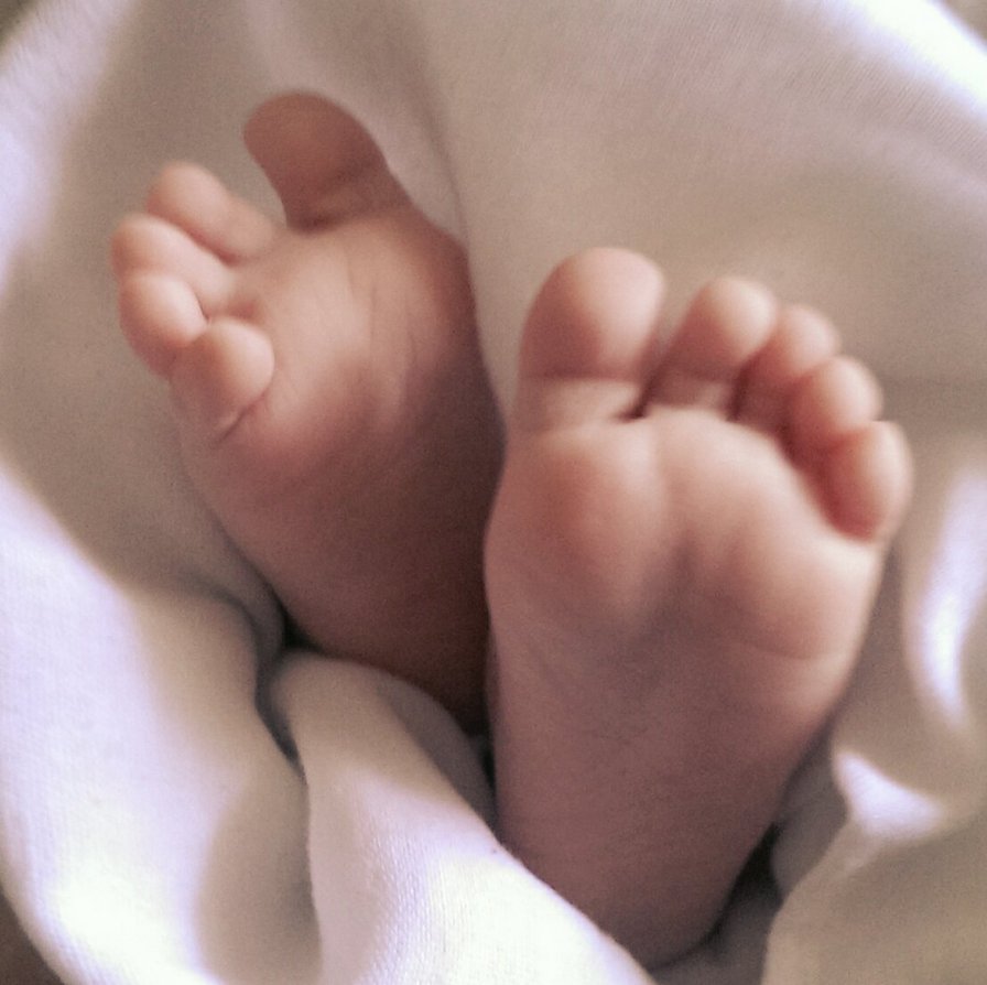 Lubimie nozhki - lapki - оригинал