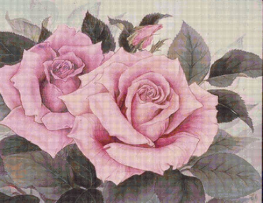 розы - розы, роза, цветы, красота - предпросмотр