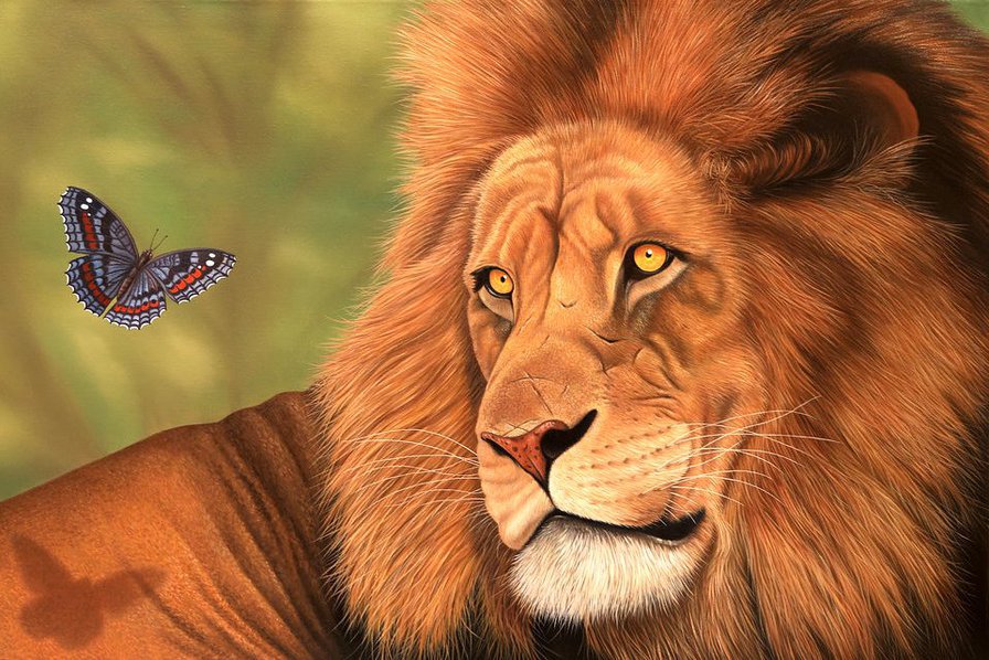 Лев - дикие кошки, животные - оригинал