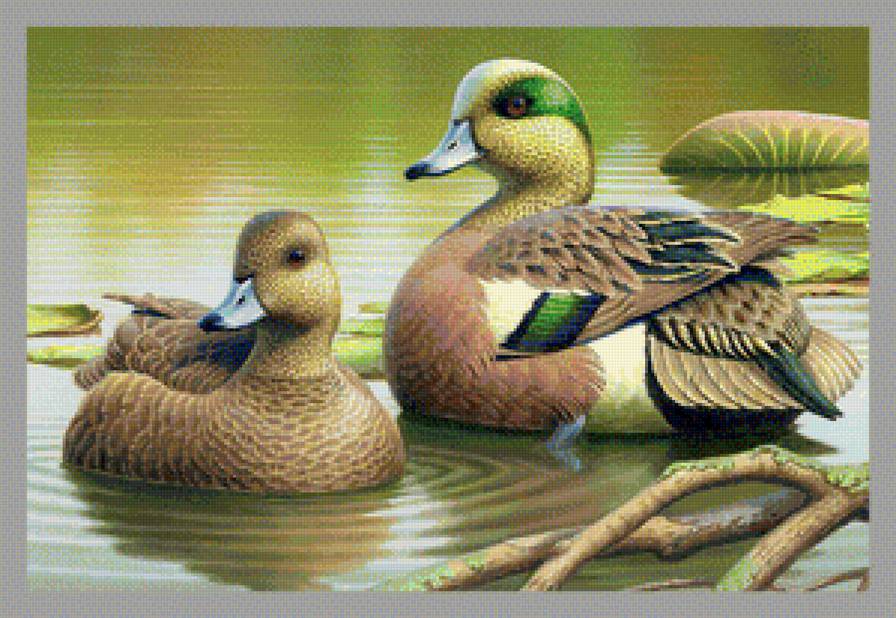 Серия птицы - вышивка крестом - предпросмотр