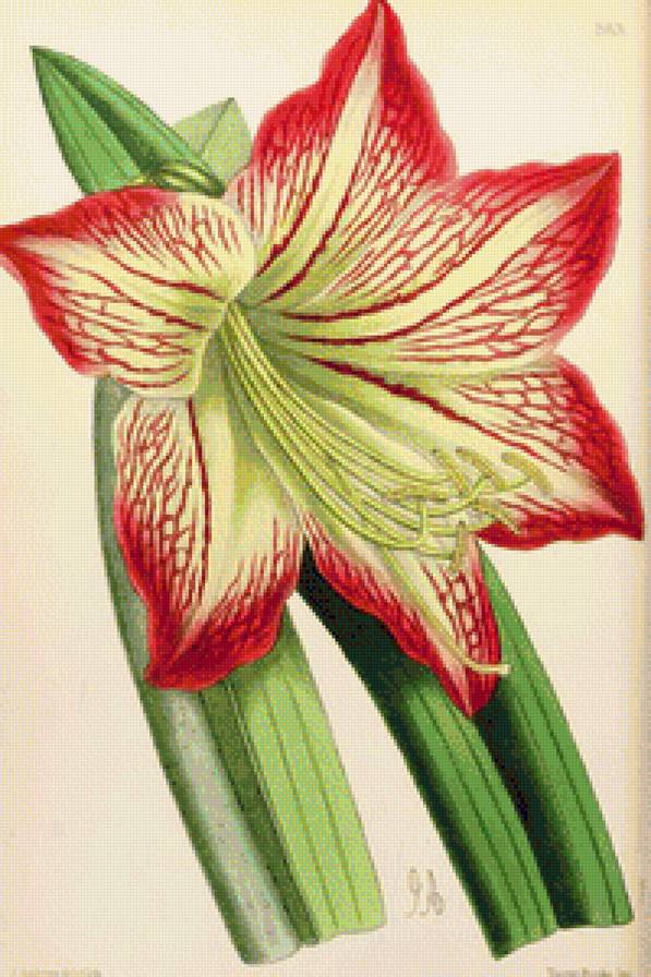 №1191885 - предпросмотр