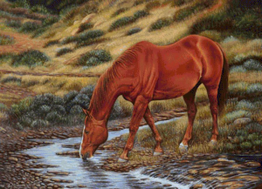 Водопой - лошадь, лошади, пейзаж, родник, животные, кони, летний пейзаж, река - предпросмотр