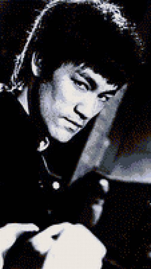 Bruce Lee - кинорежиссер, сценарист, актер, продюсер - предпросмотр