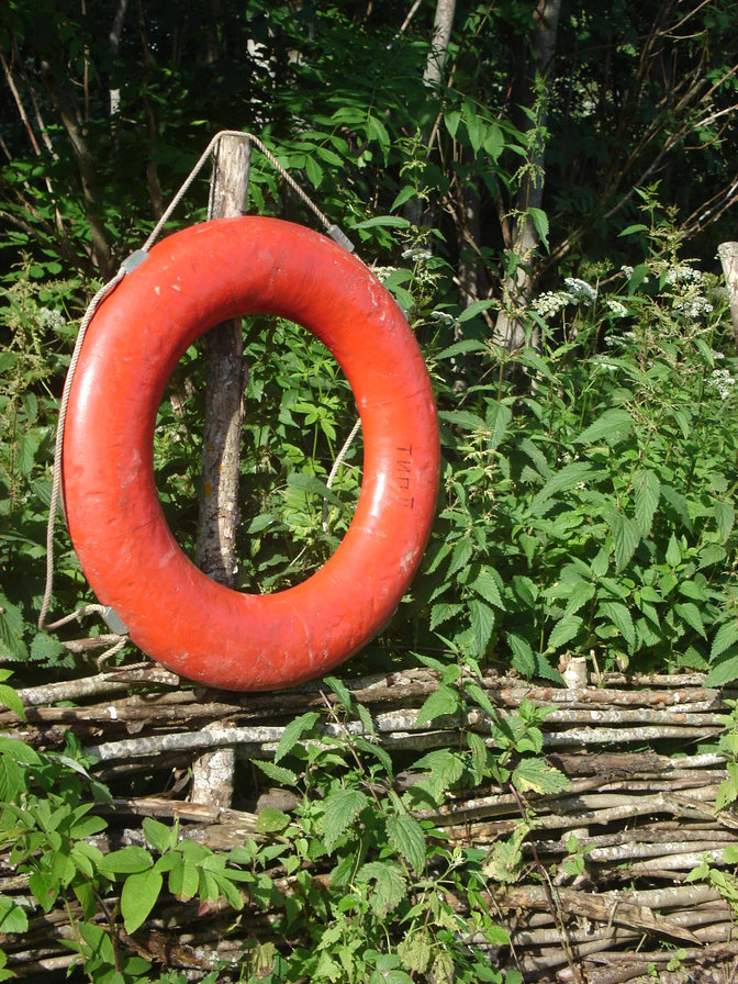 Спасательный круг в отпуске - спасательный круг, трава - оригинал