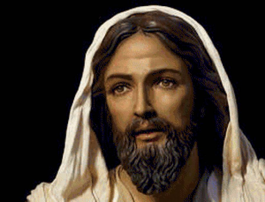 señor - предпросмотр