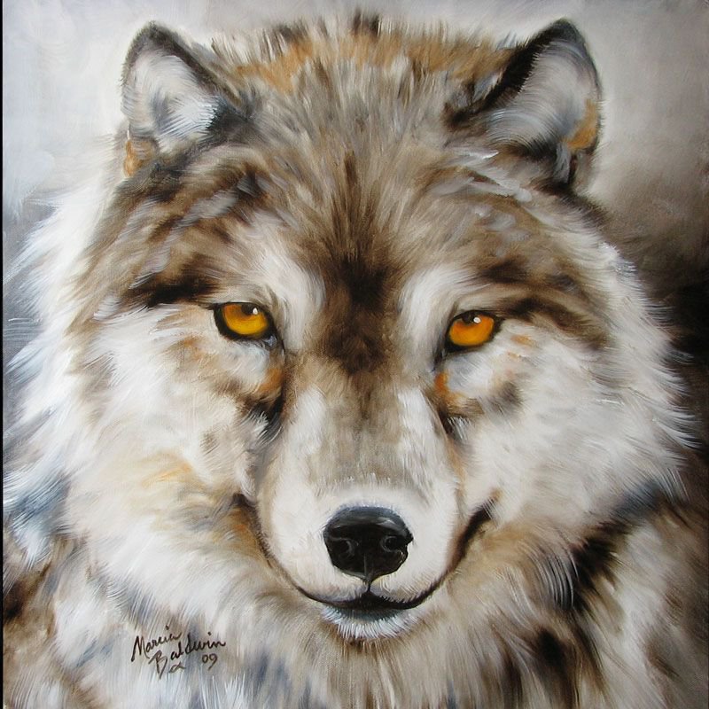 волк - картина, волки, дикие животные - оригинал
