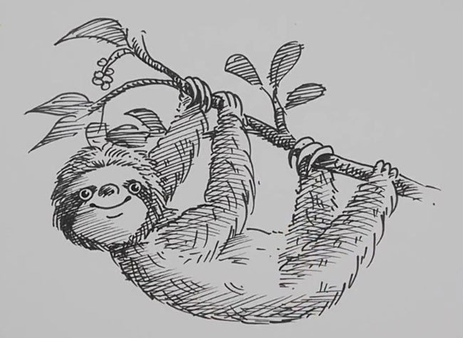 Ленивец - ленивец - оригинал