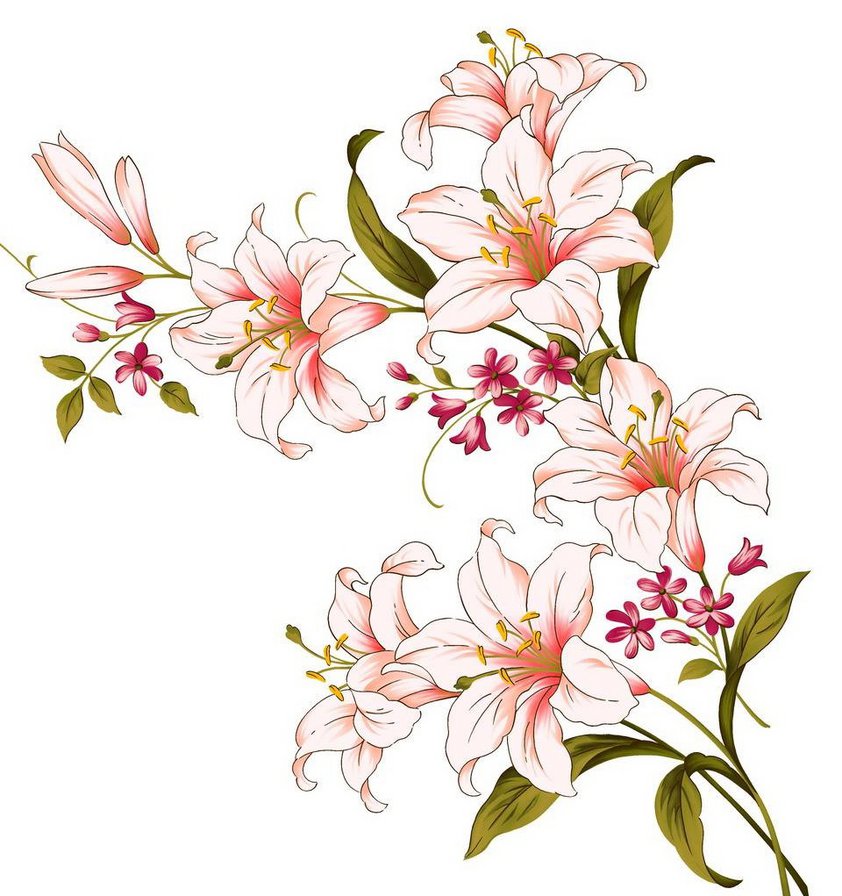 Лилии - цветы - оригинал