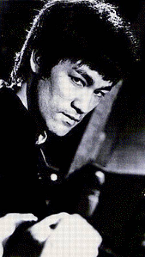 Bruce Lee - кинорежиссер, актер, сценарист, продюсер - предпросмотр