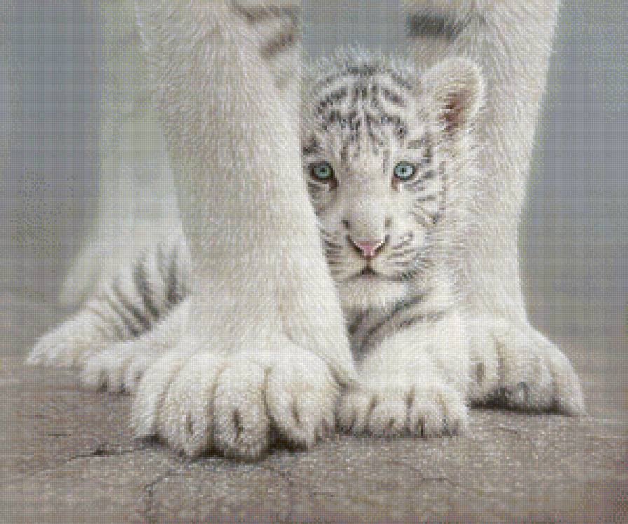 С мамой не страшно - животные, взгляд хищника, белый тигр, голубые глаза, тигренок, тигры - предпросмотр