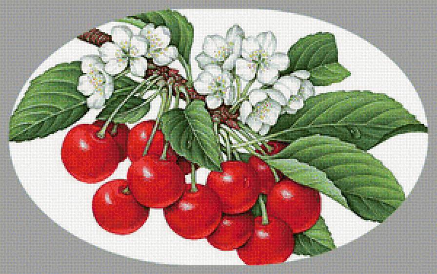 Ветка вишни - вышивка крестом - предпросмотр