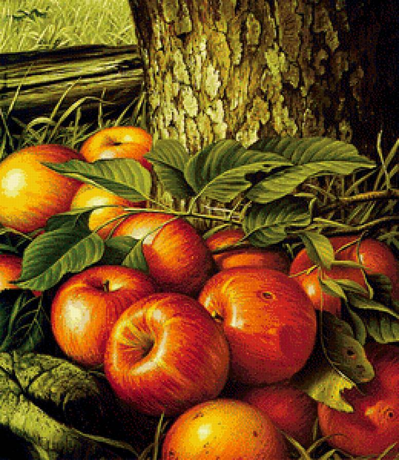 Яблоки - фрукты, яблоки, плоды - предпросмотр