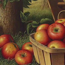 Оригинал схемы вышивки «яблоки под деревом-2 120 0» (№1193114)
