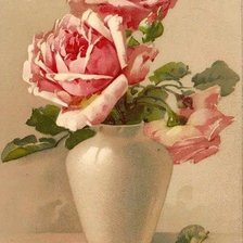 Оригинал схемы вышивки «Розы в вазе 1 Катарина Кляйн» (№1193154)