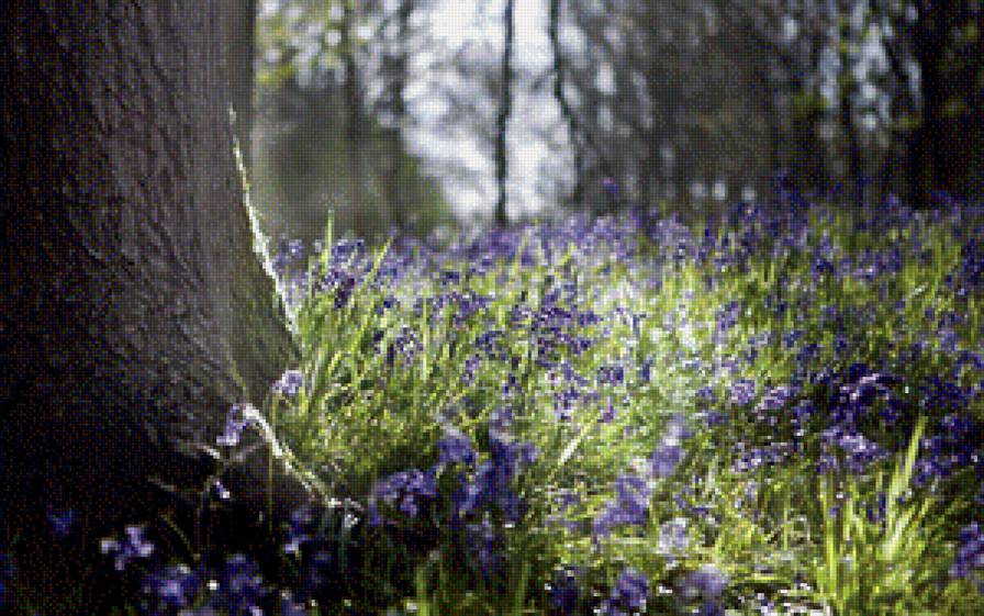 №1193421 - лес, природа, спокойствие, цветы - предпросмотр