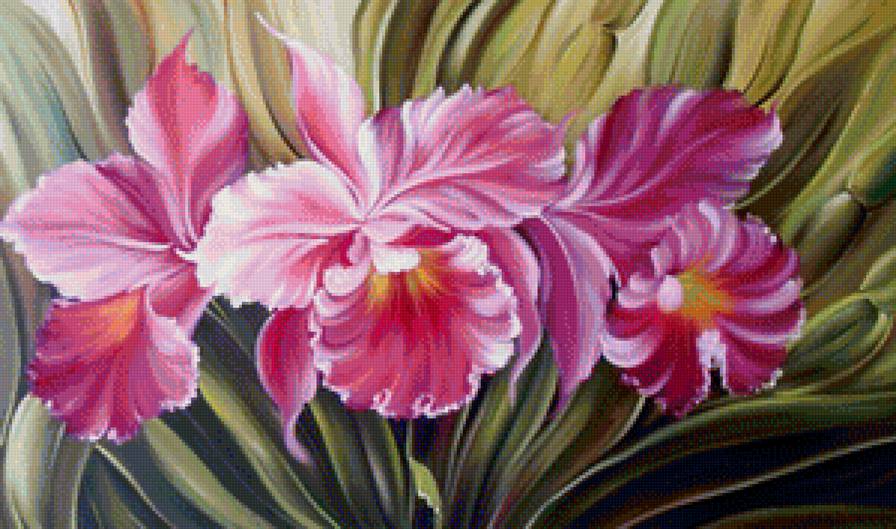 Орхидея - букет, цветок, цветы - предпросмотр