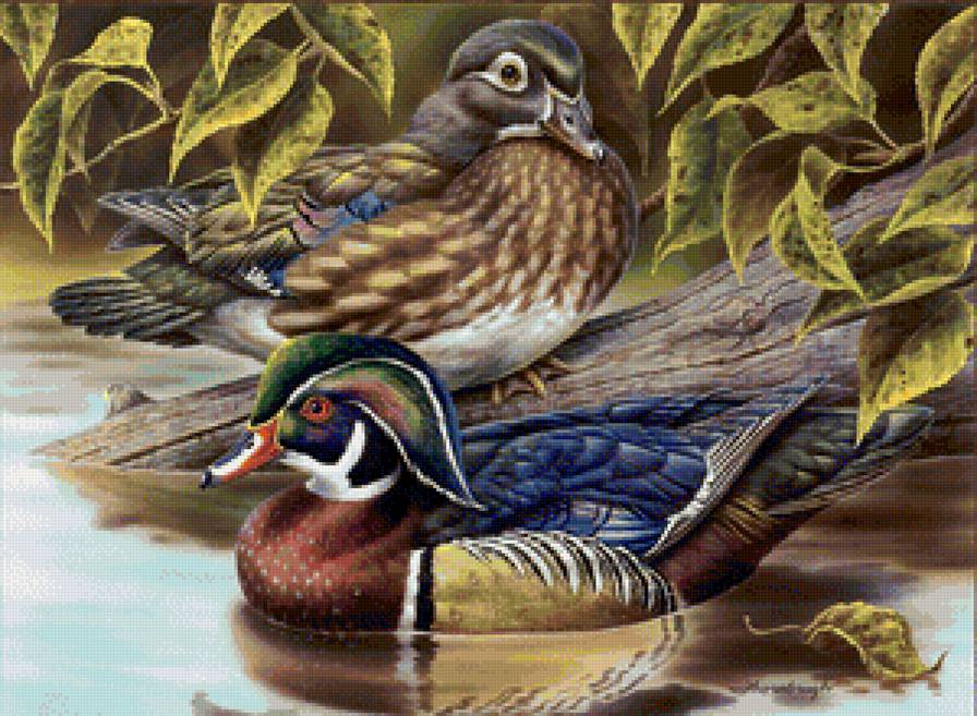 уточки - предпросмотр