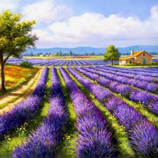 Схема вышивки «Лавандовые поля»