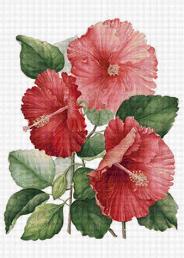 №1194745 - предпросмотр