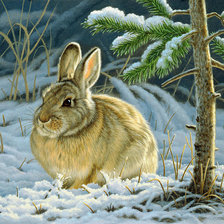 заяц в зимнем лесу