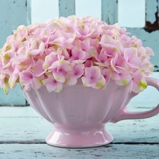 Схема вышивки «гошочек гортензии»