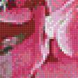 Предпросмотр схемы вышивки «розовая гортензия!» (№1194806)