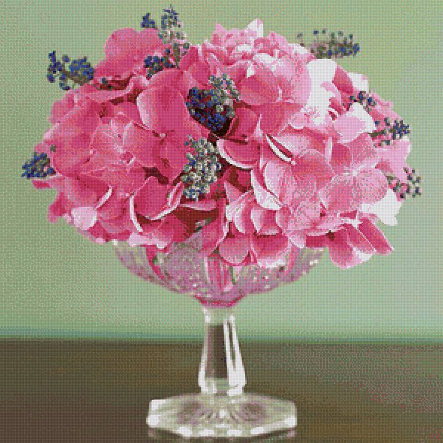 розовая гортензия! - предпросмотр