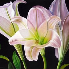 Оригинал схемы вышивки «№1194855»