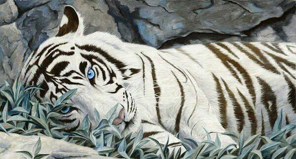 белый тигр - оригинал