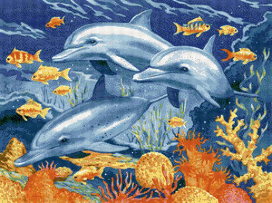 Дельфины - море, дельфин - предпросмотр