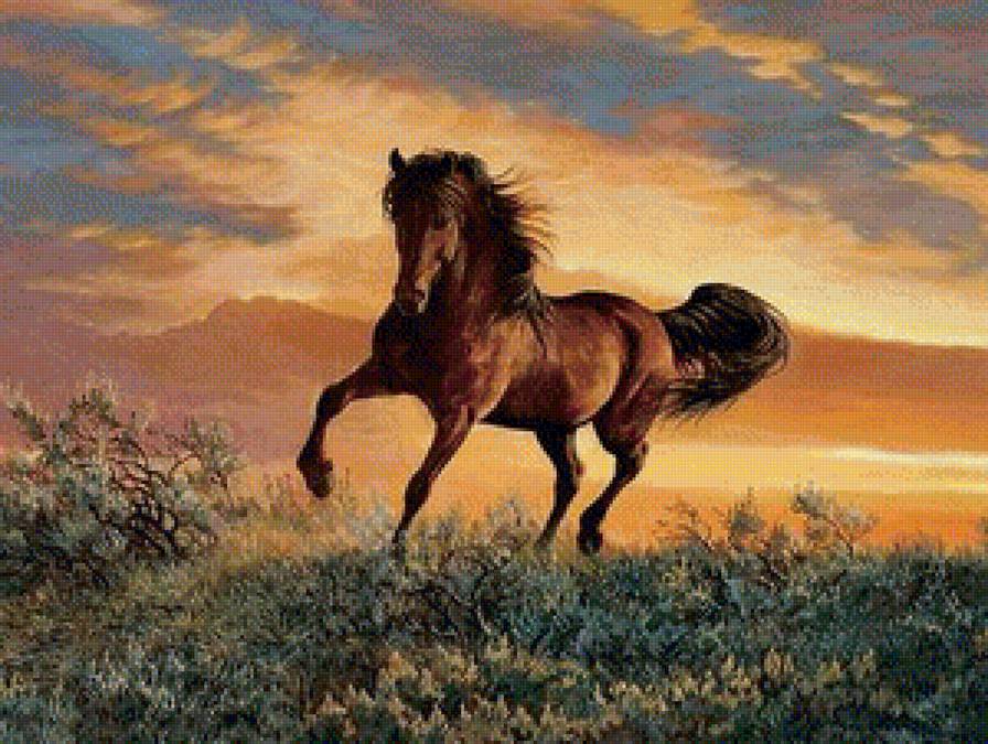 На закате - пейзаж, лошади, природа - предпросмотр